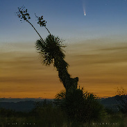 <font class="tempImageTitleThumbText">Comet NEOWISE</font><br>Fred Espenak<br>Jul 8 5:51pm<br>Portal, AZ