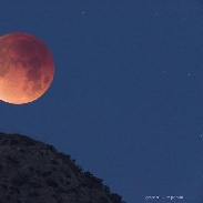 <font class="tempImageTitleThumbText">Total Lunar Eclipse</font><br>Fred Espenak<br>Jan 31 4:18pm<br>Portal, Arizona, USA