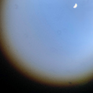 <font class="tempImageTitleThumbText">Venus After Sunrise</font><br>Fred Gatschet<br>Oct 11 9:44pm<br>Salina, Kansas
