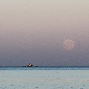 <font class="tempImageTitleThumbText">Harvest Moon</font><br>Freddie Gorman<br>Sep 27 1:17pm<br>Cleethorpes North East Lincolns