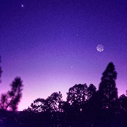 <font class="tempImageTitleThumbText">Young Moon, Venus, Mercury</font><br>Fritz Helmut Hemmerich<br>Jan 21 10:22pm<br>Tenerife, Canary Islands