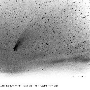 <font class="tempImageTitleThumbText">Tail Of Comet C/2020F3 NEOWISE </font><br>Fumito Hamada<br>Jul 22 8:18am<br>Mourai Ishikari Hokkaido Japan