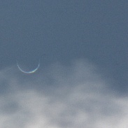 <font class="tempImageTitleThumbText">Rainbow-Venus And Daylight Venus</font><br>Günther Strauch<br>Jan 10 9:39pm<br>Borken, NRW, Germany