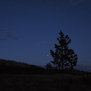 <font class="tempImageTitleThumbText">Lunar Eclipse</font><br>Gabriel Jones<br>Oct 1 3:34am<br>Sheep Valley, Kananaskis, Alber