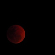 <font class="tempImageTitleThumbText">Lunar Eclipse</font><br>Ganesh Subramaniam<br>Feb 1 1:19am<br>B.R.HILLS, KARNATAKA - SOUTH IN