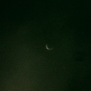 <font class="tempImageTitleThumbText">Venus Morning Star</font><br>Gary<br>Jan 13 5:23pm<br>Fort Davis, TX