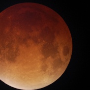 <font class="tempImageTitleThumbText">Total Lunar Eclipse</font><br>Gary Scimeca<br>Sep 28 5:03am<br>Saddle Brook, NJ
