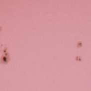 <font class="tempImageTitleThumbText">Sun, Sunspots</font><br>GaryT<br>Jun 28 6:15pm<br>Colorado USA