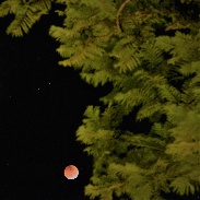<font class="tempImageTitleThumbText">Lunar Eclipse.</font><br>Gentil César Bruscato<br>Jan 21 10:08pm<br>Porto Alegre - RS - Brazil