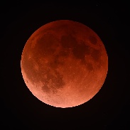 <font class="tempImageTitleThumbText">Lunar Eclipse</font><br>George Ionas<br>Jan 31 3:31pm<br>Palmerston North, New Zealand