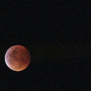 <font class="tempImageTitleThumbText">Lunar Eclipse</font><br>Gerardo De Sampedro<br>Jan 23 2:23am<br>Ciudad de Mexico