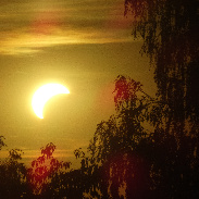 <font class="tempImageTitleThumbText">Partial Solar Eclipse</font><br>Gerhard Praher<br>Aug 14 1:19pm<br>Waizenkirchen, Austria