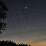 <font class="tempImageTitleThumbText">Moon-Jupiter-Venus</font><br>Gil & Terrie Plumer<br>Feb 23 4:59am<br>Okeechobee, Florida, USA