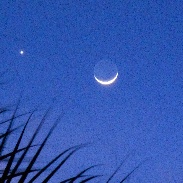 <font class="tempImageTitleThumbText">Moon-Venus-Mars Conjunction</font><br>Gilbert Plumer<br>Feb 24 4:57pm<br>Rockledge, FL