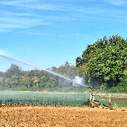 <font class="tempImageTitleThumbText">Rainbow </font><br>Giovanni Barbieri <br>Aug 9 9:32am<br>Ligny   Belgium 