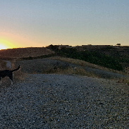 <font class="tempImageTitleThumbText">Sunset</font><br>Giovanni Barbieri <br>Sep 23 6:31pm<br>Bonefro Italy 