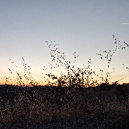 <font class="tempImageTitleThumbText">Sunset</font><br>Giovanni Barbieri <br>Oct 1 5:58pm<br>Bonefro Italy 