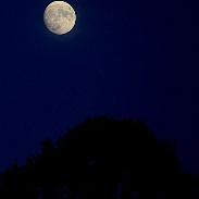 <font class="tempImageTitleThumbText">12,82 Days Old Moon</font><br>Giovanni Barbieri <br>Jun 27 9:08pm<br>Pont-De-Loup Belgium 