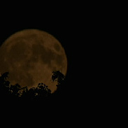 <font class="tempImageTitleThumbText"> Rising Full Moon</font><br>Giovanni Barbieri <br>Jun 29 10:49pm<br>Pont-De-Loup Belgium 
