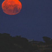 <font class="tempImageTitleThumbText">( Blue Moon)  Moonset With  Deformation I</font><br>Giovanni Passalacqua <br>May 31 7:16am<br>Ragusa -Sicily -italy 