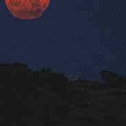 <font class="tempImageTitleThumbText">( Blue Moon )    Moonset   With   Deforma</font><br>Giovanni Passalacqua <br>May 31 7:11am<br>Ragusa -Sicily -italy 