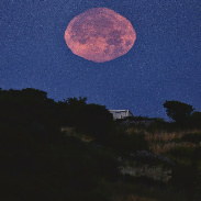 <font class="tempImageTitleThumbText"> ( Bkue Moon )  Pink  Moon With Inferior </font><br>Giovanni Passalacqua <br>Jun 2 8:47am<br>Ragusa -Sicily -italy 