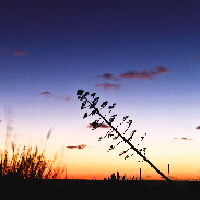 <font class="tempImageTitleThumbText">Jupiter And Venus At Sunset Cava  Daliga </font><br>Giovanni Passalacqua <br>Jun 3 4:25am<br>Cava Daliga Italy Sicily 