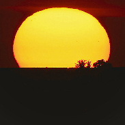 <font class="tempImageTitleThumbText">Sunset  On  The  Longest  Day ( Summer  S</font><br>Giovanni Passalacqua <br>Jun 21 7:38pm<br>Ragusa -Sicily -italy 