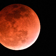 <font class="tempImageTitleThumbText">Lunar Eclipse</font><br>Glen Wurden<br>May 16 1:31pm<br>Los Alamos, New Mexico, USA