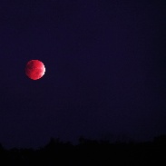 <font class="tempImageTitleThumbText">Lunar Eclipse</font><br>Glenn Burke<br>Oct 9 1:15am<br>Hope, NJ USA