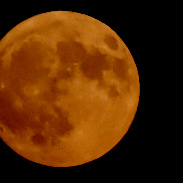 <font class="tempImageTitleThumbText">Moon</font><br>Glenn<br>Jul 29 11:01pm<br>Chicago, Illinois USA