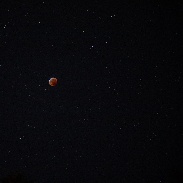 <font class="tempImageTitleThumbText">Lunar Eclipse</font><br>Glenn Johnson<br>Jan 23 3:53am<br>Tallahassee FL