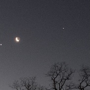 <font class="tempImageTitleThumbText">Conjunction Of Venus,Jupiter And The Cres</font><br>Gordon Cousins <br>Jan 31 1:55pm<br>Neptune City 