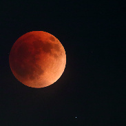 <font class="tempImageTitleThumbText">Total Lunar Eclipse</font><br>Gordon Garcia<br>May 16 5:27am<br>Bartlett, Illinois