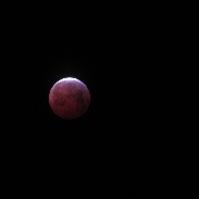 <font class="tempImageTitleThumbText">Total Lunar Eclipse</font><br>Gordon Ward<br>Jan 21 6:27pm<br>Hightown, Castleford, UK