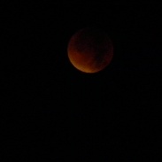 <font class="tempImageTitleThumbText">Spectacular Lunar Eclipse</font><br>Grajka<br>Sep 28 5:14pm<br>Rozumice, opolskie,Polska