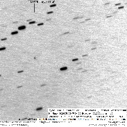 <font class="tempImageTitleThumbText">Comet C/2026 P2</font><br>Graziano Ventre<br>Sep 9 7:01pm<br>Postazione Astronomica Sormano2