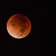 <font class="tempImageTitleThumbText">Lunar Eclipse</font><br>Gregg Ruppel<br>Jan 31 4:17pm<br>Tucson, AZ
