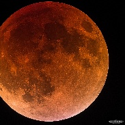 <font class="tempImageTitleThumbText">Supermoon Total Lunar Eclipse</font><br>Guillaume Doyen<br>Oct 1 10:59am<br>Normandy, France