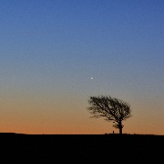 <font class="tempImageTitleThumbText">Venus-Jupiter Conjunction</font><br>Gwenael Blanck<br>Nov 13 8:56pm<br>Cheltenham, UK