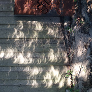 <font class="tempImageTitleThumbText">Crescent-shaped Shadows </font><br>Hans-Hinrich Fitschen<br>Aug 12 8:11pm<br>Wulmstorf, Lower Saxony, German