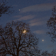 <font class="tempImageTitleThumbText">Moon - Venus - Jupiter</font><br>Hans-Peter Lallinger<br>Feb 22 9:09pm<br>Munich, Germany