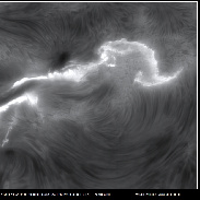 <font class="tempImageTitleThumbText"> Flare </font><br>Harald Paleske<br>Aug 26 11:48am<br>Weißenfels, Sachsen Anhalt, Ge