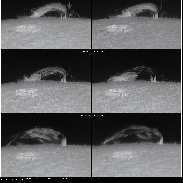 <font class="tempImageTitleThumbText">B 7.1 Flare</font><br>Harald Paleske<br>Jun 19 1:57pm<br>Weißenfels, Sachsen Anhalt, Ge