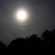 <font class="tempImageTitleThumbText">Moon, Mars, Saturn And Antares</font><br>Heiko Ulbricht<br>May 21 11:29pm<br>Freital, Saxony, Germany