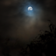 <font class="tempImageTitleThumbText">Partial Lunar Eclipse With Jupiter</font><br>Heiko Ulbricht<br>Oct 28 9:23pm<br>Freital, Saxony, Germany