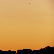 <font class="tempImageTitleThumbText">Mercury, Venus And Airplane</font><br>Helio C. Vital<br>Jul 17 1:42am<br>Rio de Janeiro, Brazil