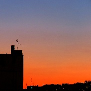 <font class="tempImageTitleThumbText">Mercury And Venus Back To Rio`s Evening T</font><br>Helio C. Vital<br>Jul 23 11:56pm<br>Rio de Janeiro, Brazil