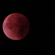 <font class="tempImageTitleThumbText">Lunar Eclipse</font><br>Henry Tauchen<br>May 16 10:41pm<br>Loveland, CO