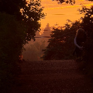 <font class="tempImageTitleThumbText">Sunset Through The Trees</font><br>Hervey Allen<br>Sep 16 6:47am<br>Eugene, Oregon, USA